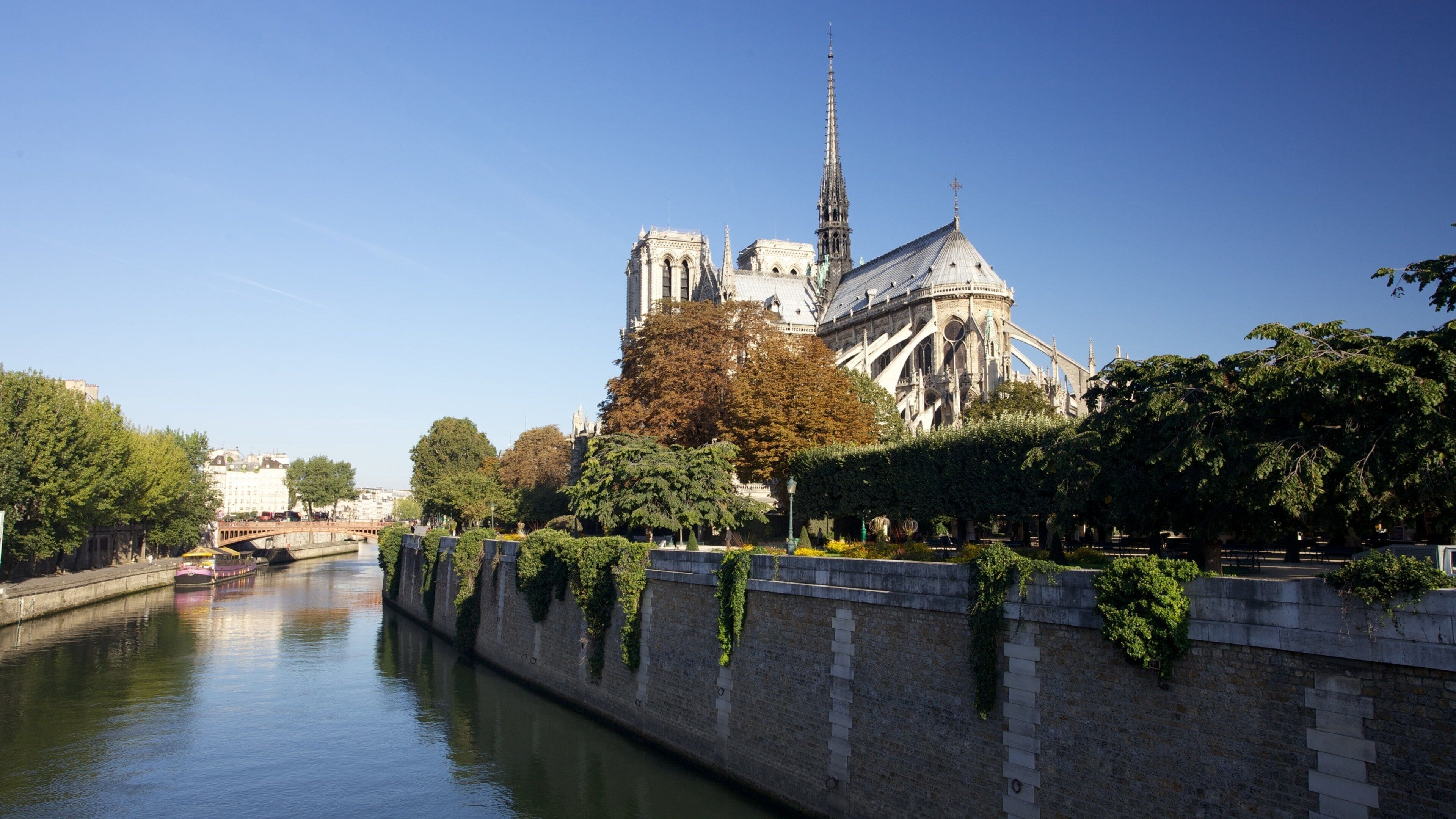 Cathédrale Notre-Dame mettant en vedette rivière ou ruisseau, église ou cathédrale et aspects religieux