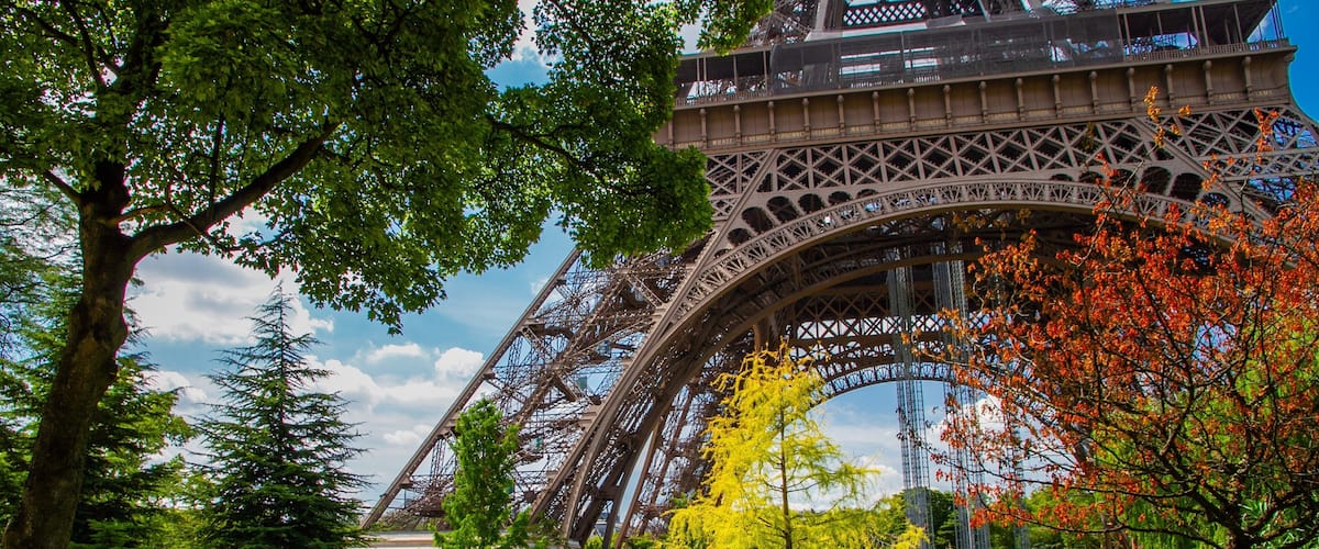 Eiffel Tower showing modern architecture and a garden