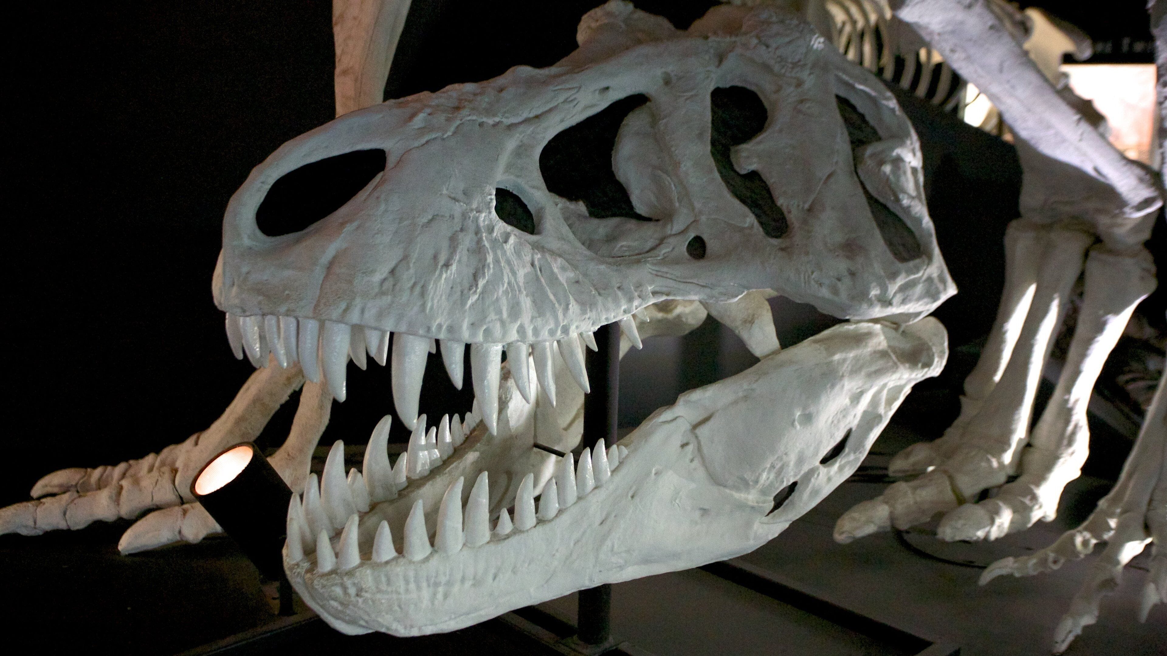 西澳大利亚博物馆