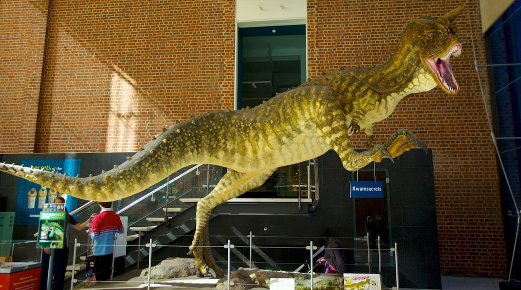 Western Australian Museum showing interior views