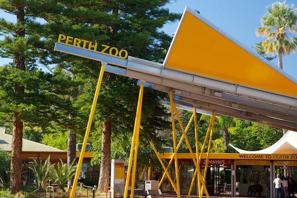 Parc zoologique de Perth qui includes animaux de zoo et signalisation