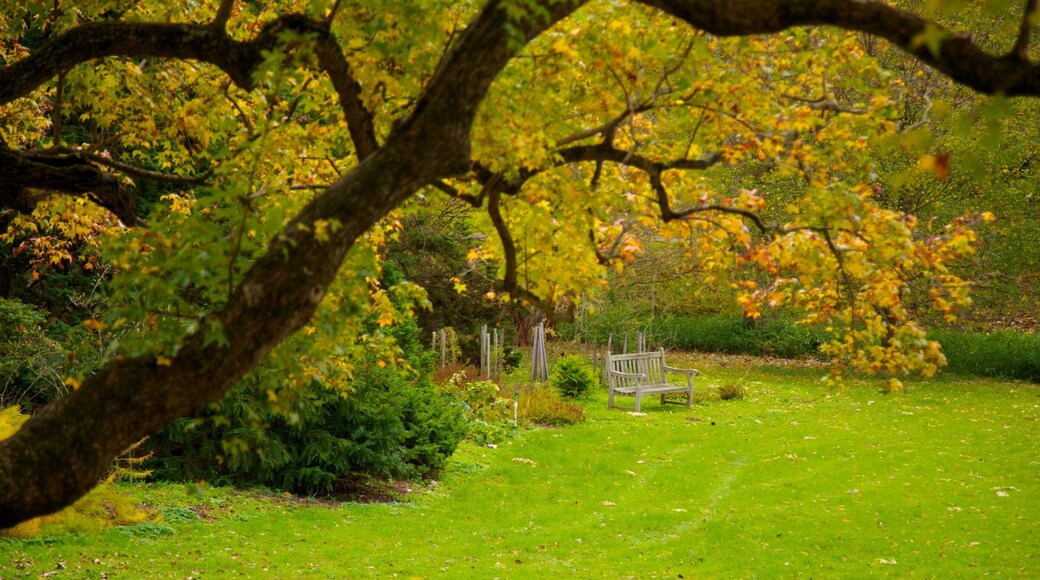 Autumn foliage at Morris Arboretum in Philadelphia showcases nature's beauty and tranquility in serene surroundings