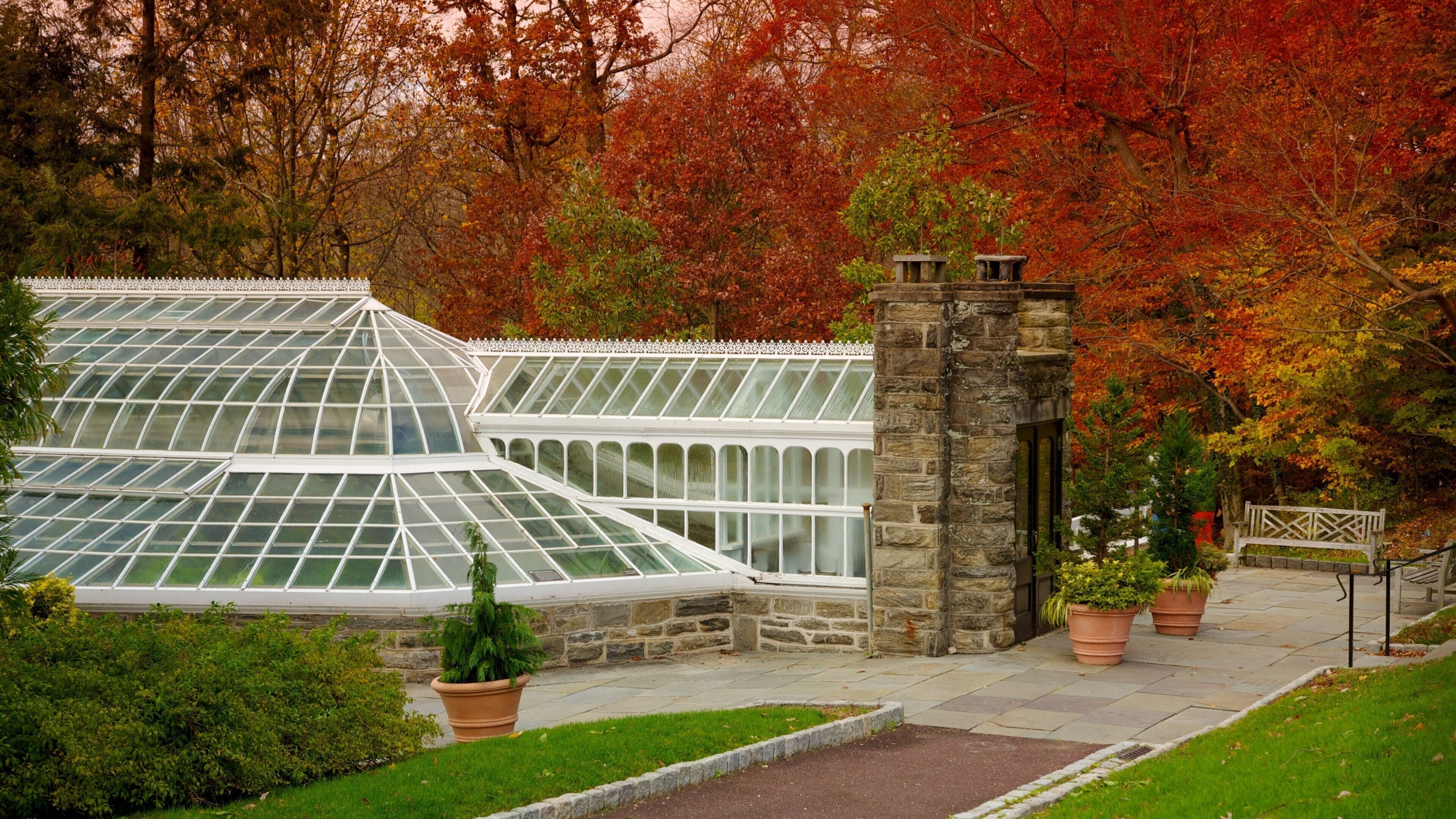 Explore the beautiful conservatory at Morris Arboretum surrounded by vibrant autumn foliage in Philadelphia, Pennsylvania