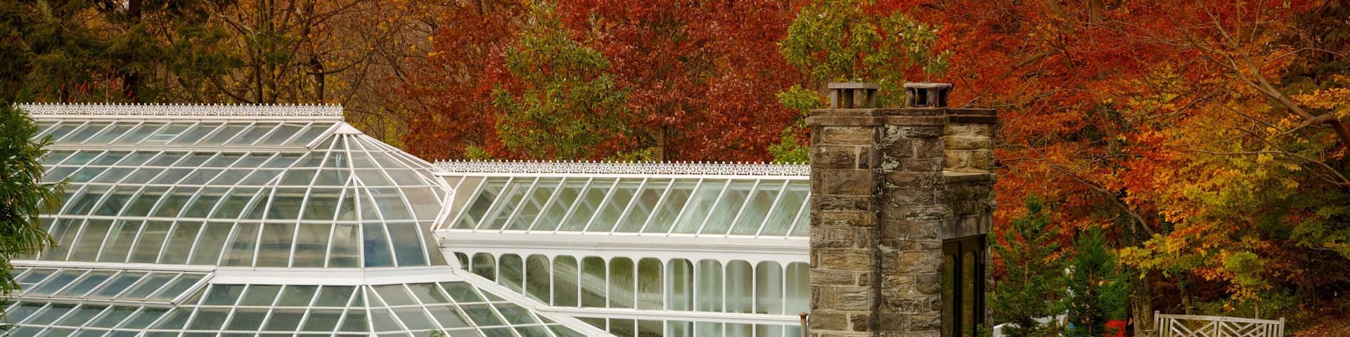 A greenhouse with a stone entrance, surrounded by autumn foliage.