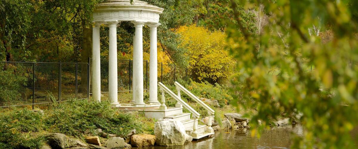 Morris Arboretum showing a pond and a park