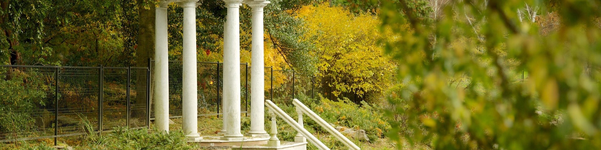 ๋ชจ๋ฆฌ์ค ์๋ชฉ์ ์ด ํฌํจ ์ฐ๋ชป ๊ณผ ๊ณต์