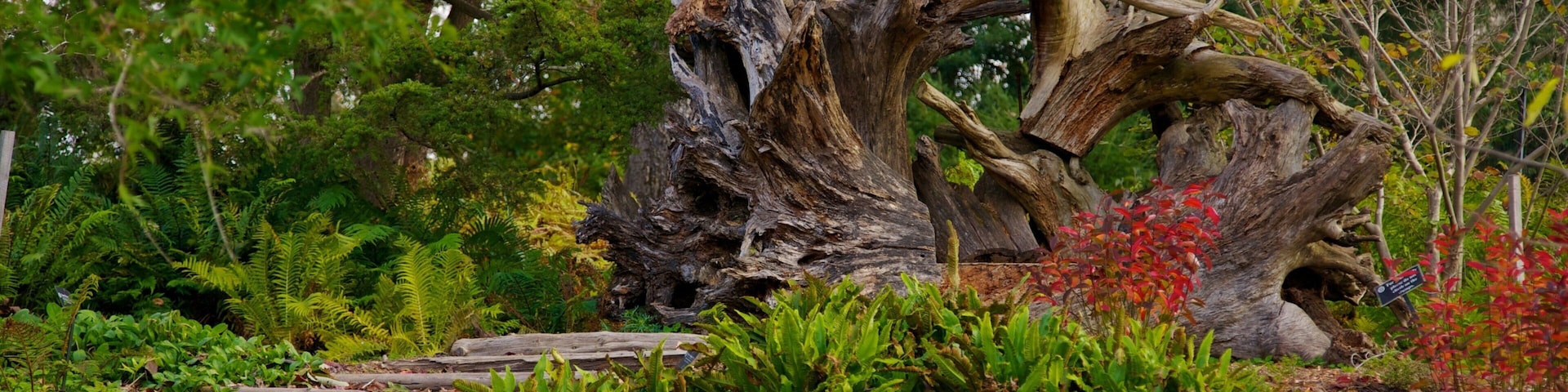 莫里斯植物園 呈现出 山水美景 和 公園
