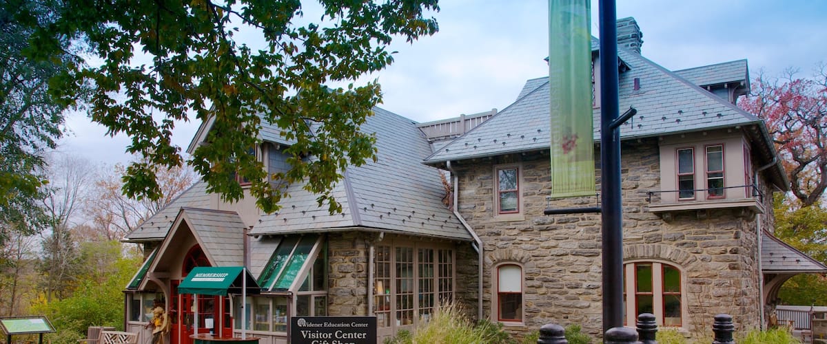 ๋ชจ๋ฆฌ์ค ์๋ชฉ์ ์ด ํฌํจ ์ผํ ๊ณผ ์์ ๋ง์ ๋๋ ๋น๋ฆฌ์ง