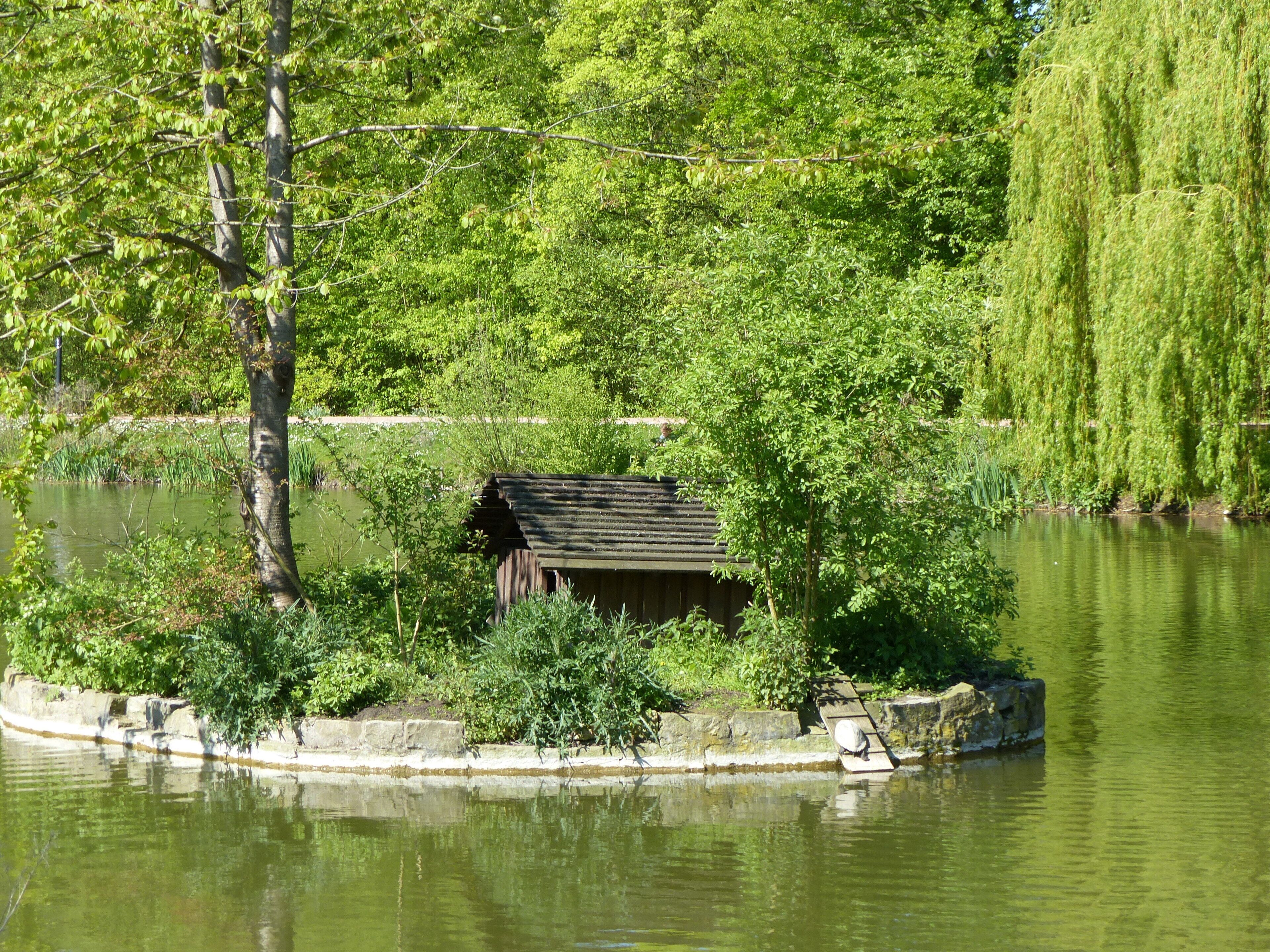 Bad Sassendorf – Teich im Kurpark