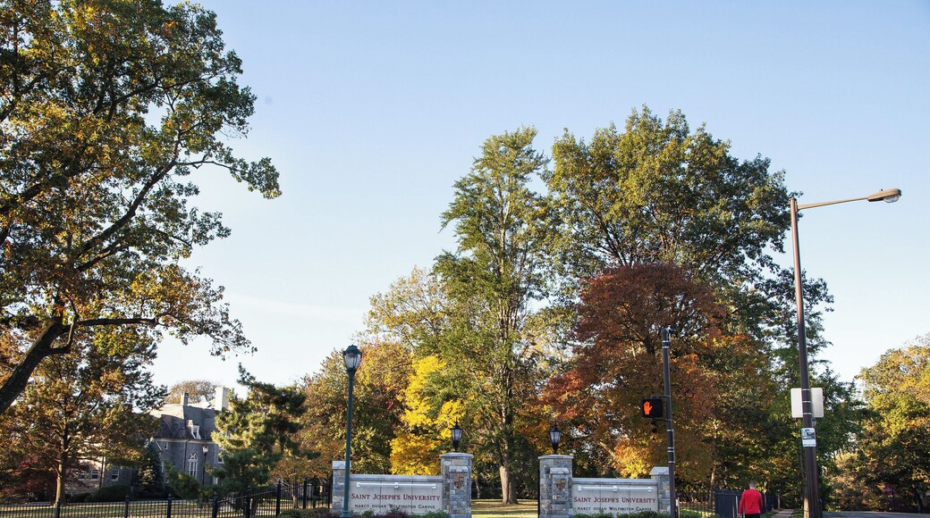 St. Joseph's University