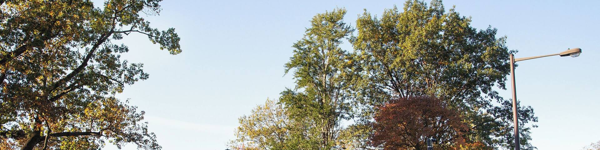 A university campus with a pedestrian crossing, a fence, and trees with autumn foliage.