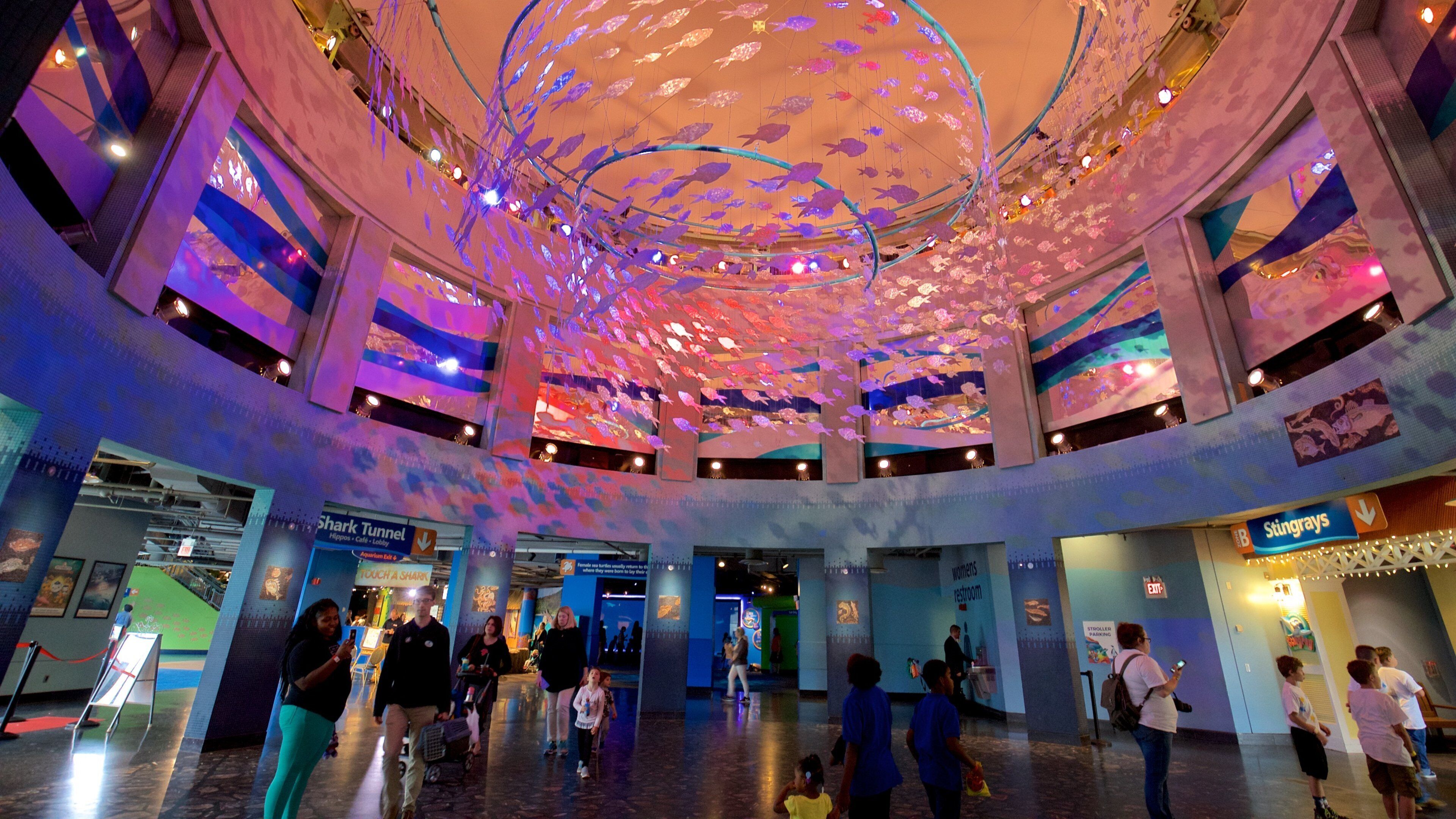 Adventure Aquarium montrant vues intérieures aussi bien que petit groupe de personnes