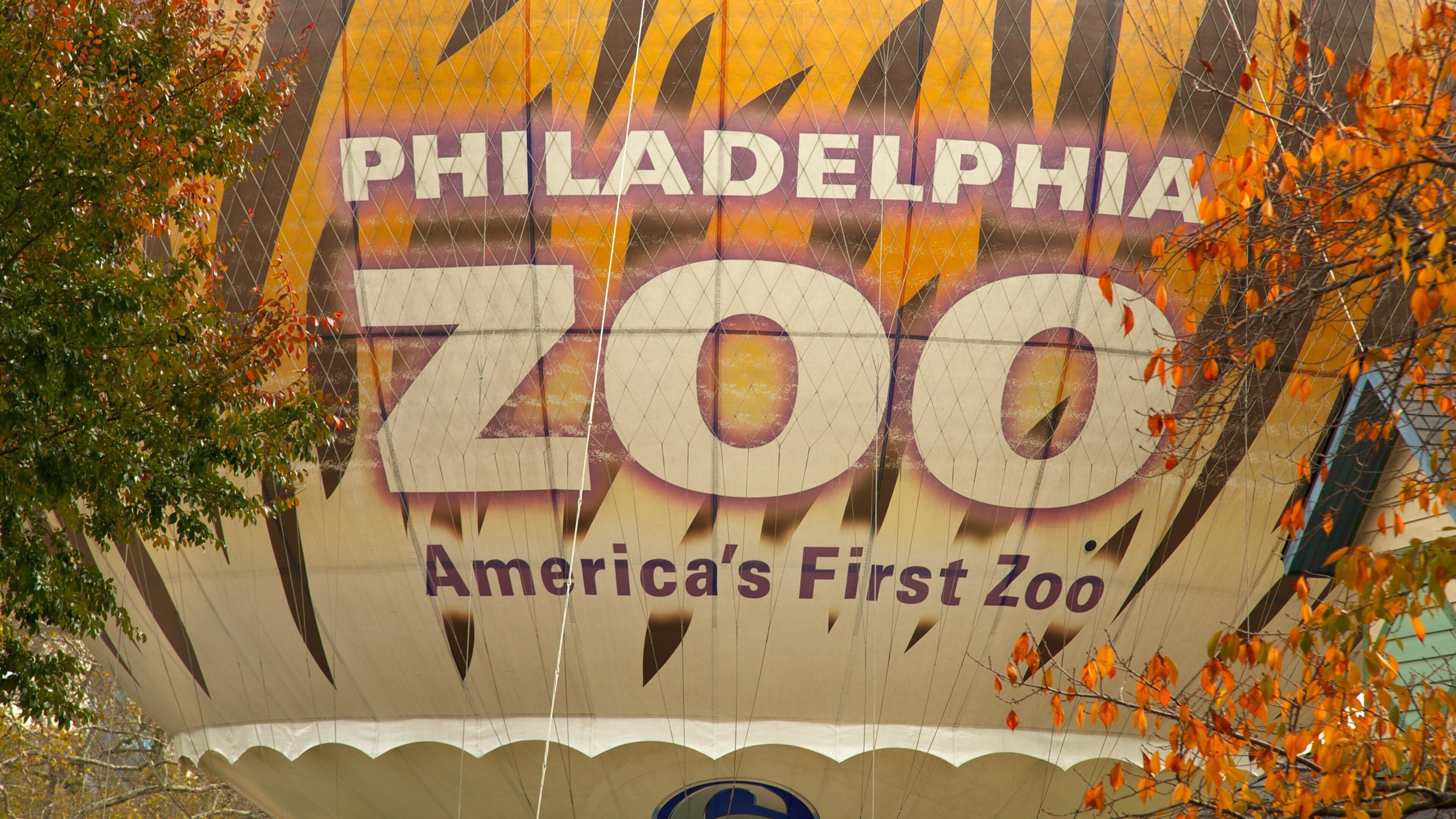 Discover the wonders of Philadelphia Zoo, America's first zoo, showcasing diverse wildlife and engaging exhibits