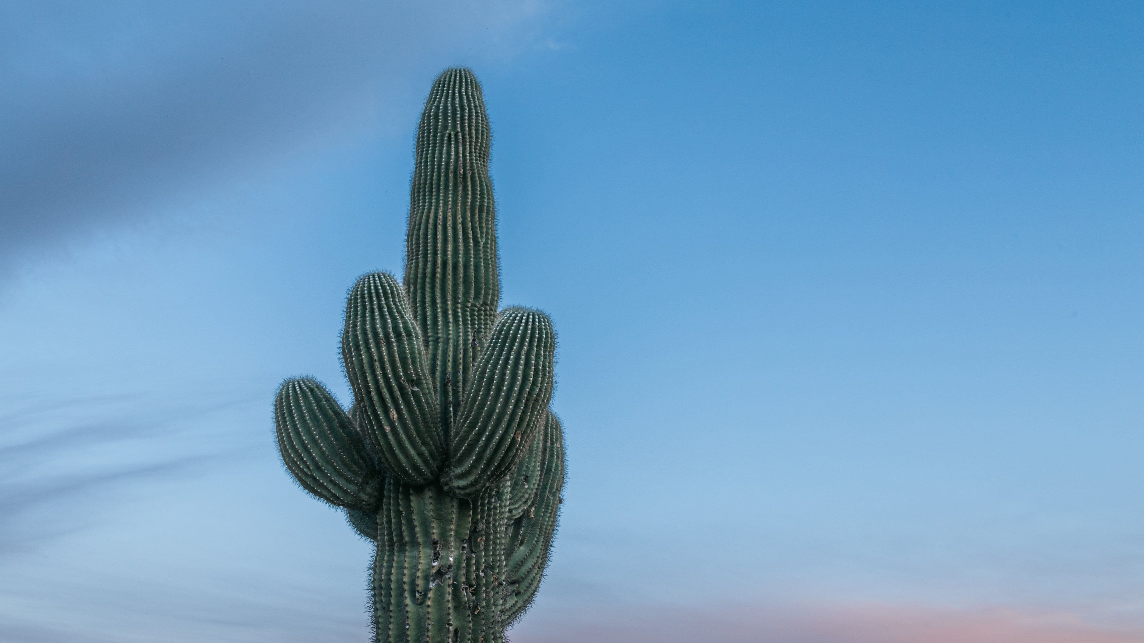 Camelback Mountain which includes desert views and a sunset