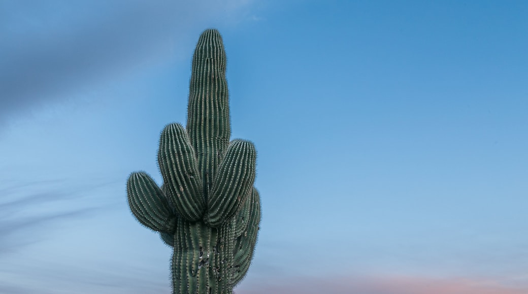 Camelback Mountain which includes desert views and a sunset