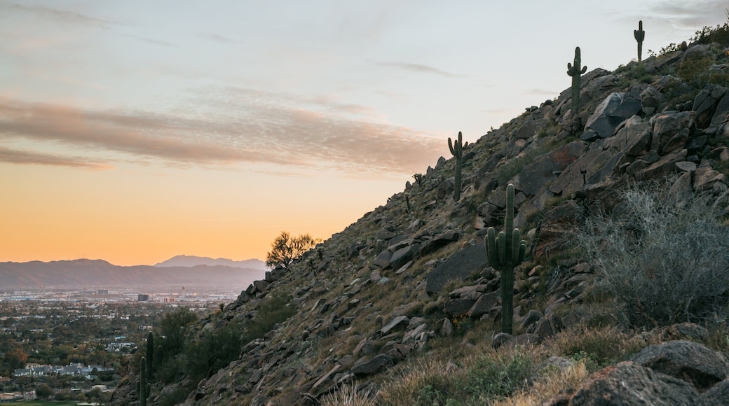 Camelback Mountain showing a sunset, desert views and landscape views