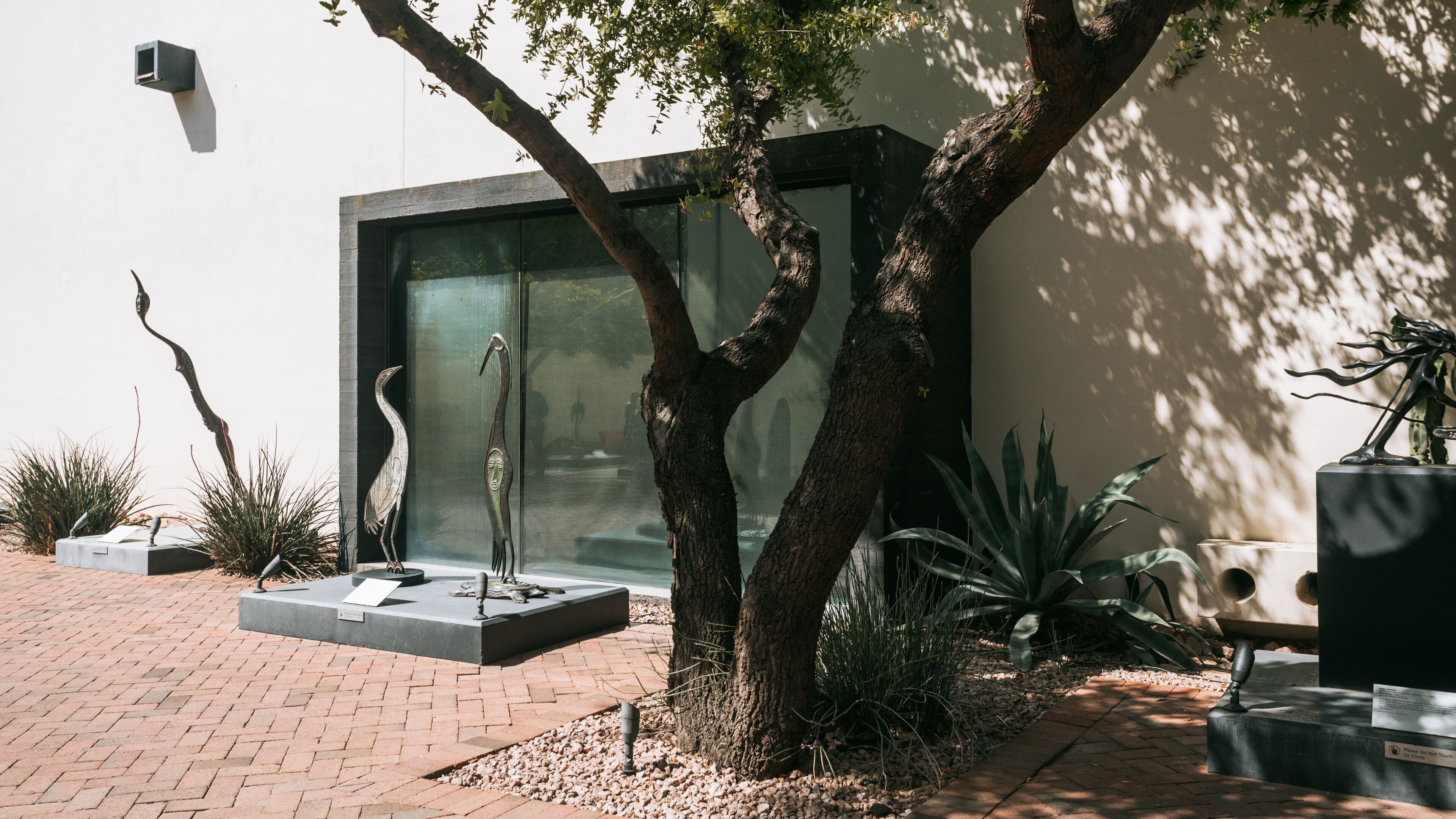 Heard Museum which includes outdoor art