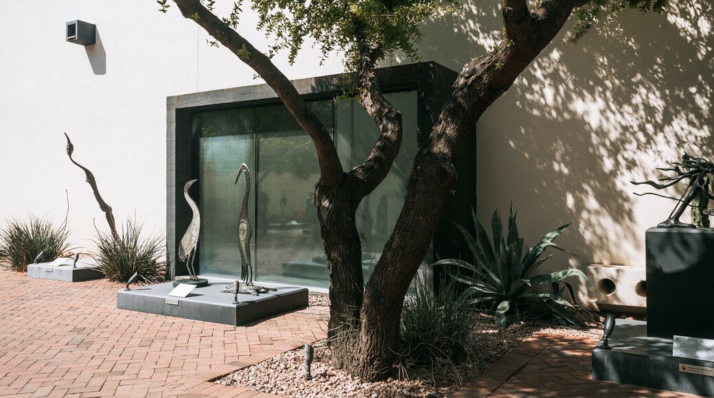 Heard Museum which includes outdoor art