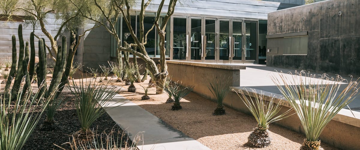 Phoenix Art Museum showing a park