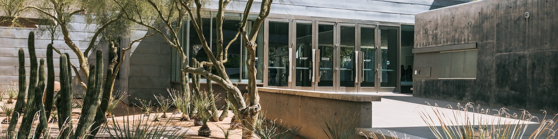 Phoenix Art Museum showing a park