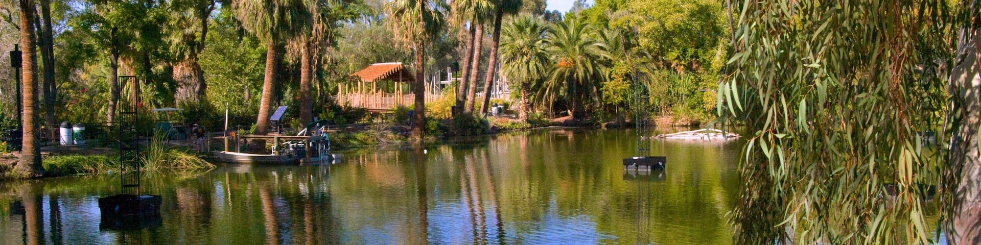 Explore the natural beauty of Phoenix Zoo with lush greenery and serene water reflections in Phoenix, Arizona