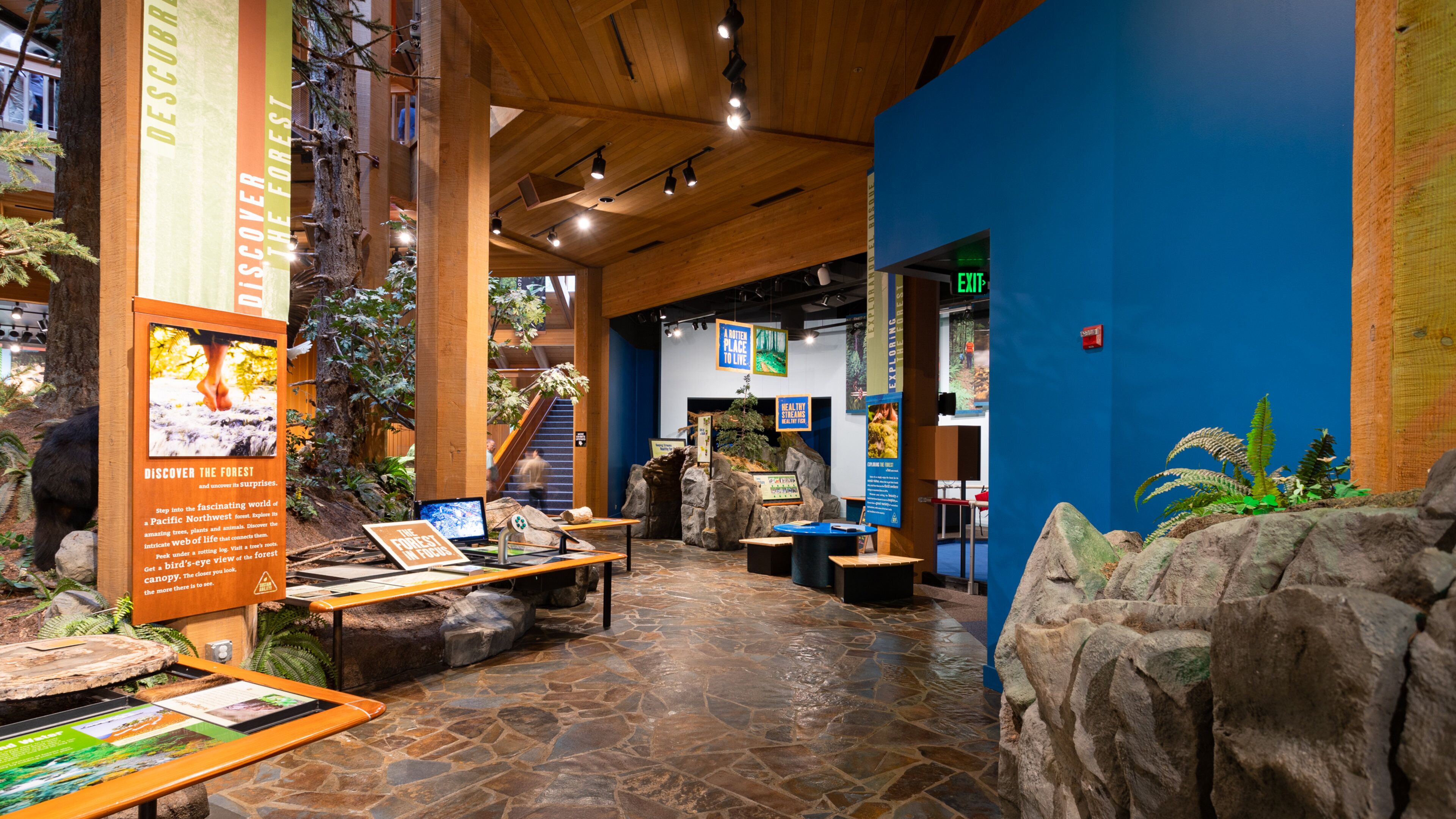 World Forestry Center featuring interior views