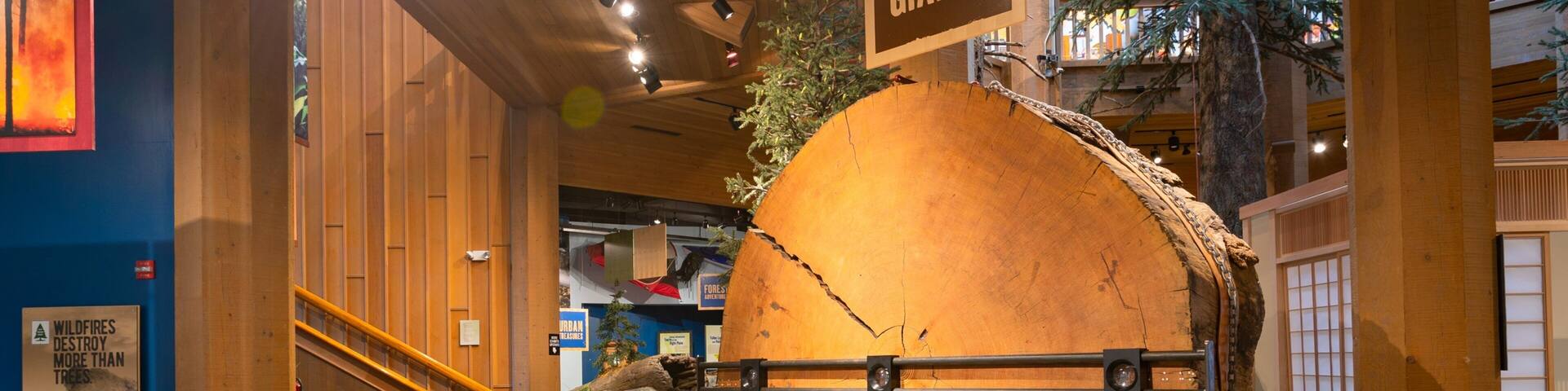 A large wooden log with a sign reading "Green Giants" and a display about wildfires destroying more than trees.