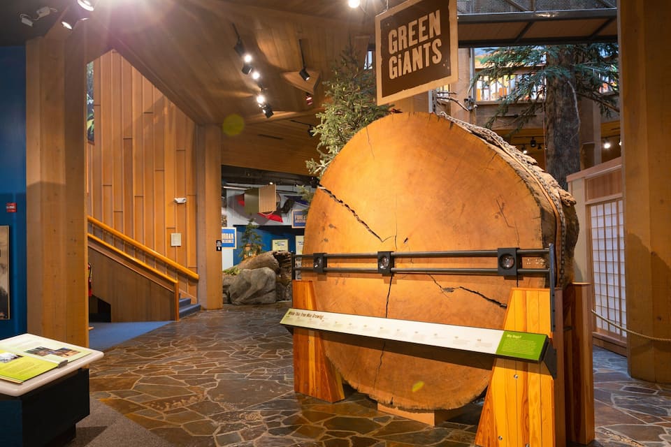 Une grande bûche de bois sur laquelle est fixée une pancarte indiquant « Green Giants » et un panneau d’information sur les incendies de forêt qui détruisent bien plus que des arbres.