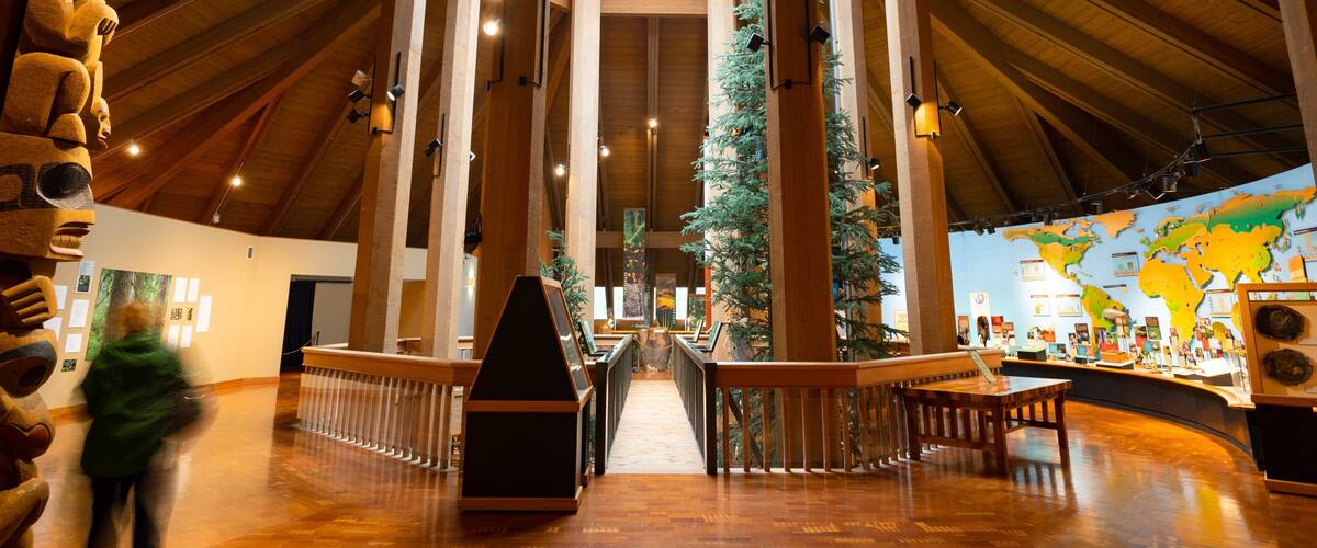 World Forestry Center showing interior views