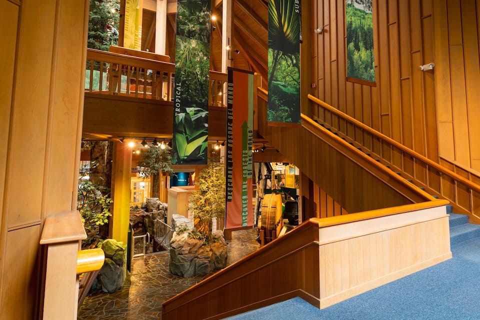A wooden interior with a staircase, tropical-themed decorations, and a stone pathway.