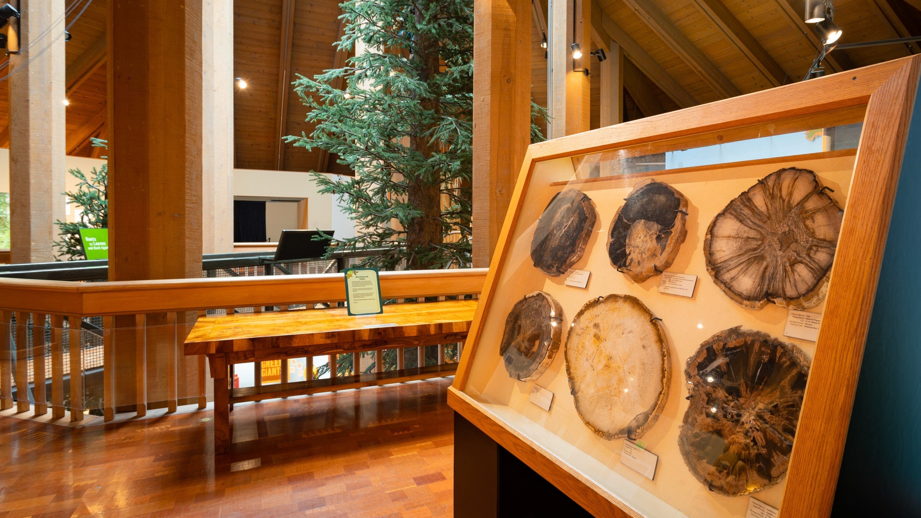 World Forestry Center featuring interior views