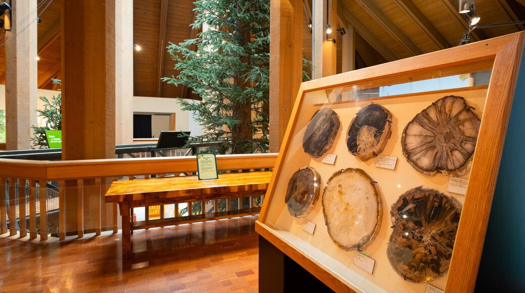 World Forestry Center featuring interior views