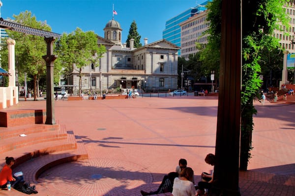 Pioneer Courthouse Square featuring street scenes and a square or plaza as well as a small group of people