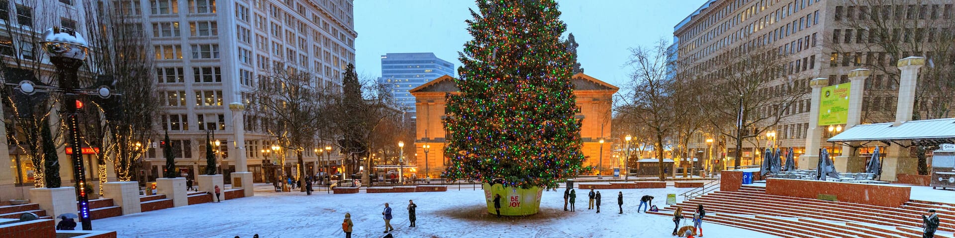 A snowy plaza with a large Christmas tree and smaller trees, surrounded by buildings.