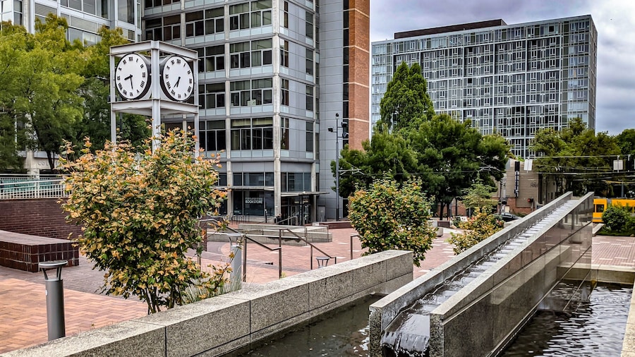 Universitas Negeri Portland