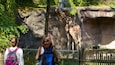 Oregon Zoo