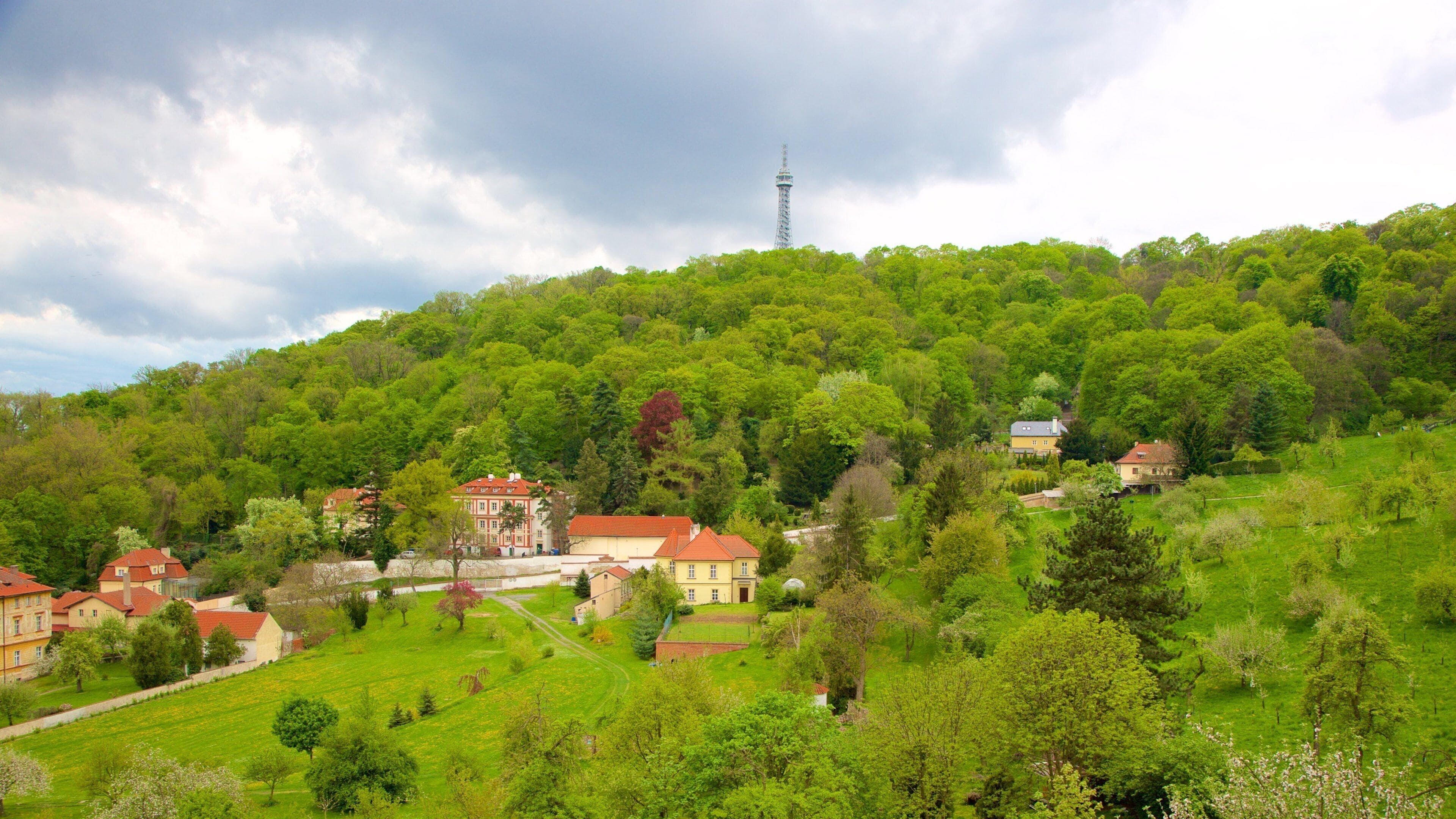 Torre de Observação Petrin caracterizando uma cidade pequena ou vila e florestas