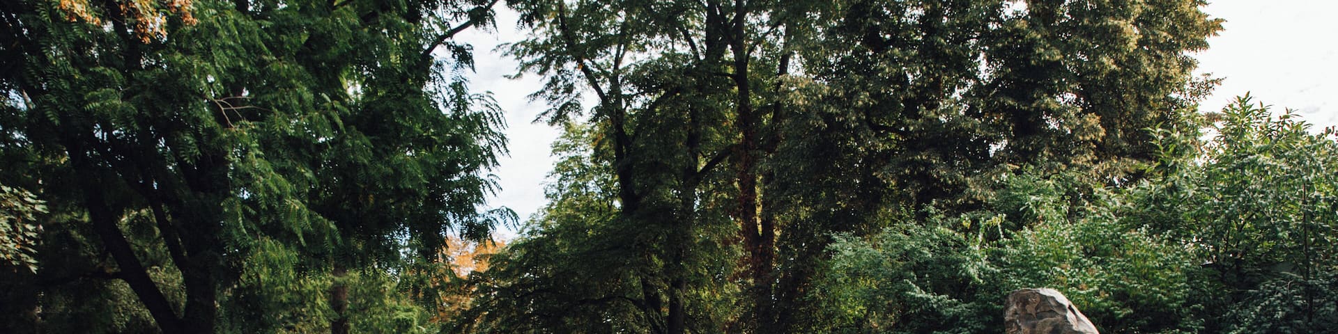 EyeEm Custom Shoots Q4 2018