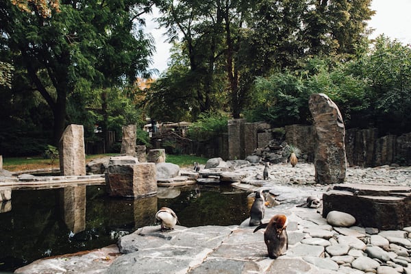 EyeEm Custom Shoots Q4 2018