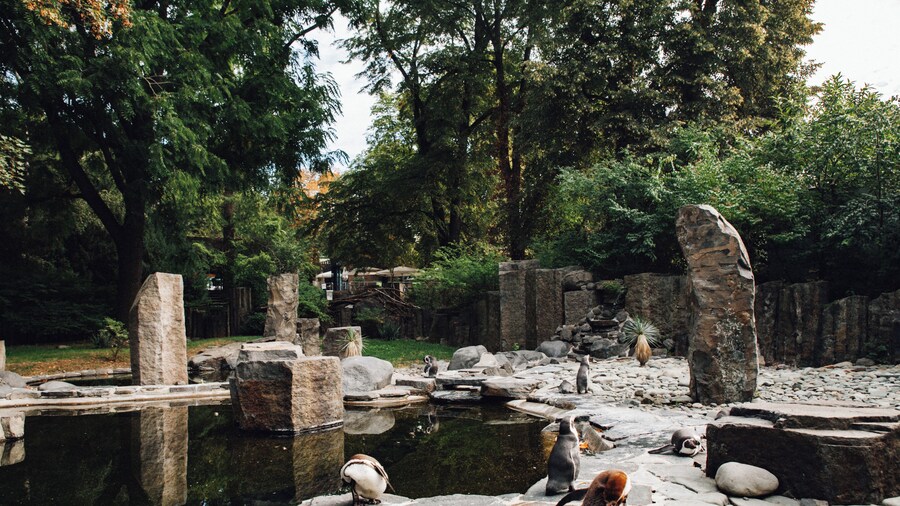 ZoolĂłgico de Praga