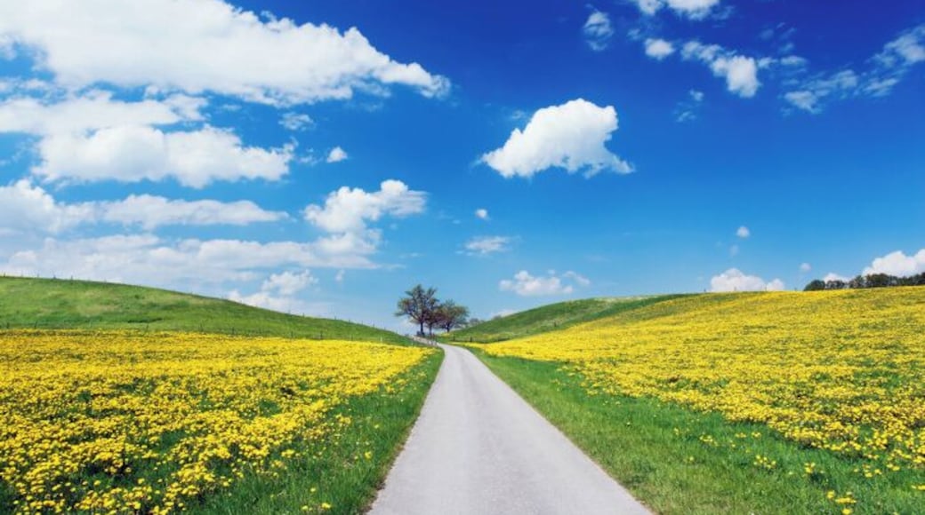 Germany, Bavaria, Murnau, country road