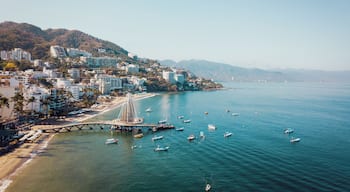 Mexico, Jalisco, Aerial view of Playa Los Muertos, beach and pier in Puerto Vallarta