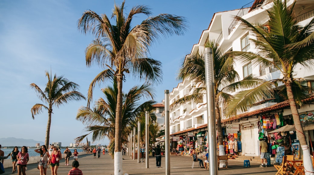 Malecon featuring tropical scenes, a coastal town and street scenes