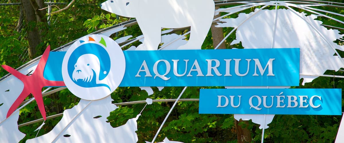 Quebec Aquarium Park which includes zoo animals, marine life and signage