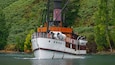 A white steamboat with a red stripe and a chimney, sailing on a river surrounded by dense green forest.