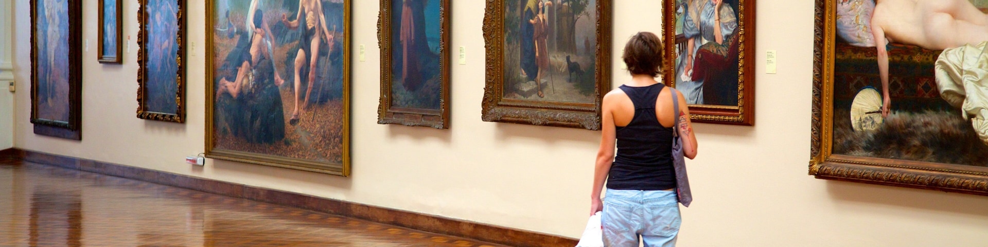 National Fine Arts Museum which includes interior views and art as well as an individual femail