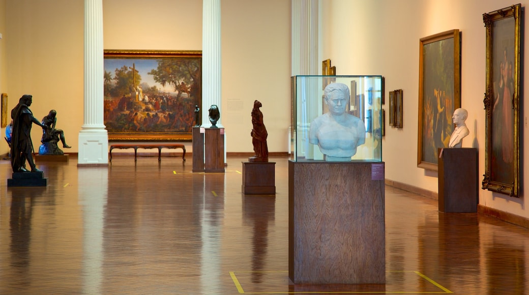 Museo nacional de bellas artes mostrando vistas interiores y arte