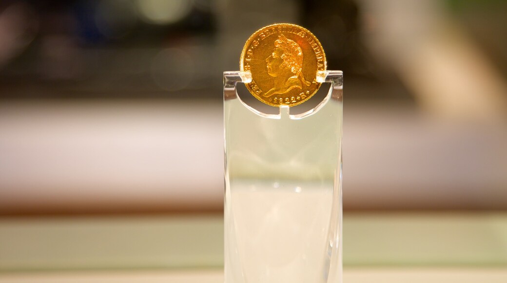 National History Museum showing interior views