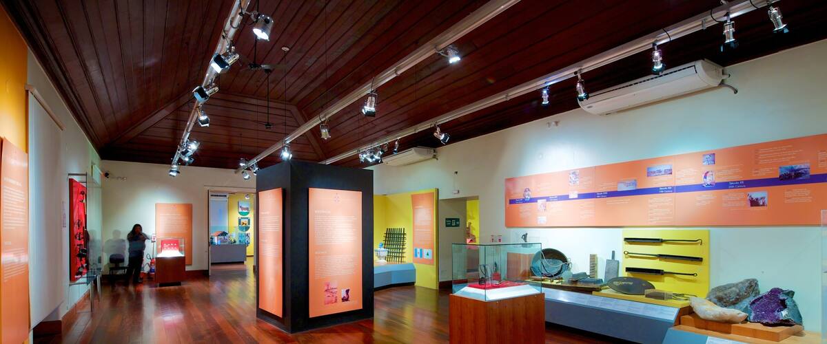 National History Museum featuring interior views