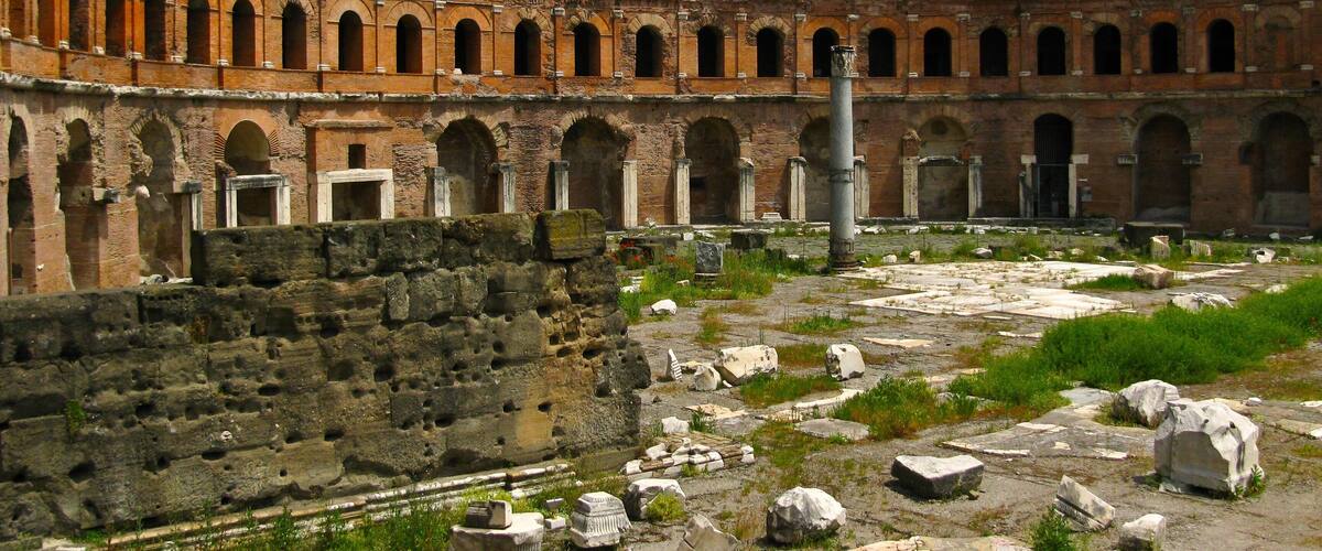 0_7b8c7f91-903a-4adf-86b0-1f80c2ec488d_raw